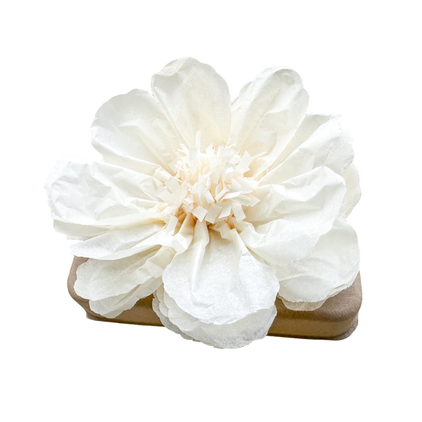 Bundle of Two Medium Urns: A Shared Farewell Journey Pachamama