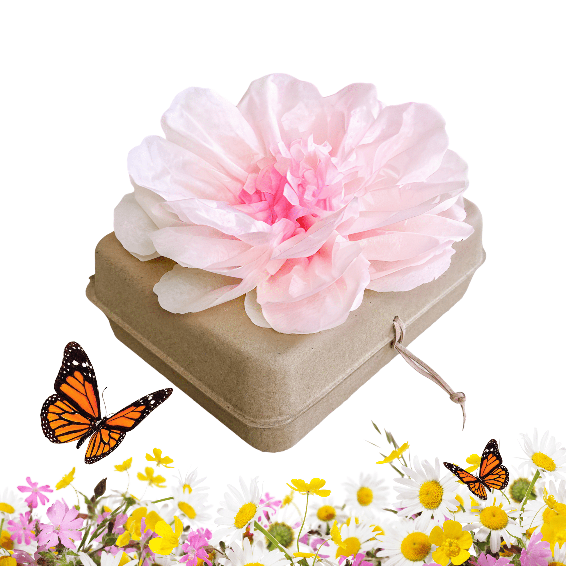 Biodegradable Burial Urn Kit – Pink Tissue Flower & Butterfly Seeds | Eco-Friendly Tribute Biodegradable urns Pachamama Tributes