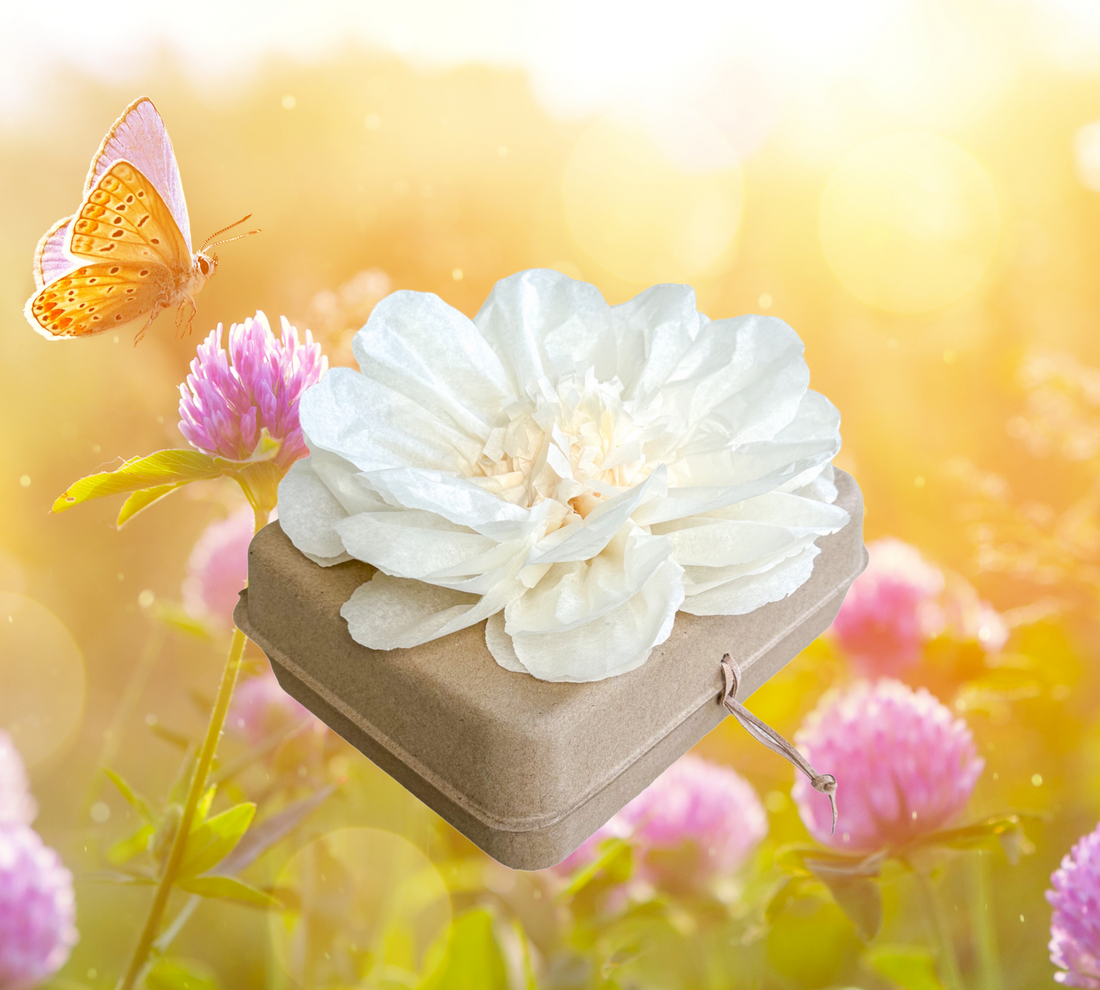 Introducing the Pachamama Honoring Kit: A Living Tribute to Your Loved Ones