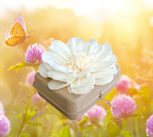 Introducing the Pachamama Honoring Kit: A Living Tribute to Your Loved Ones