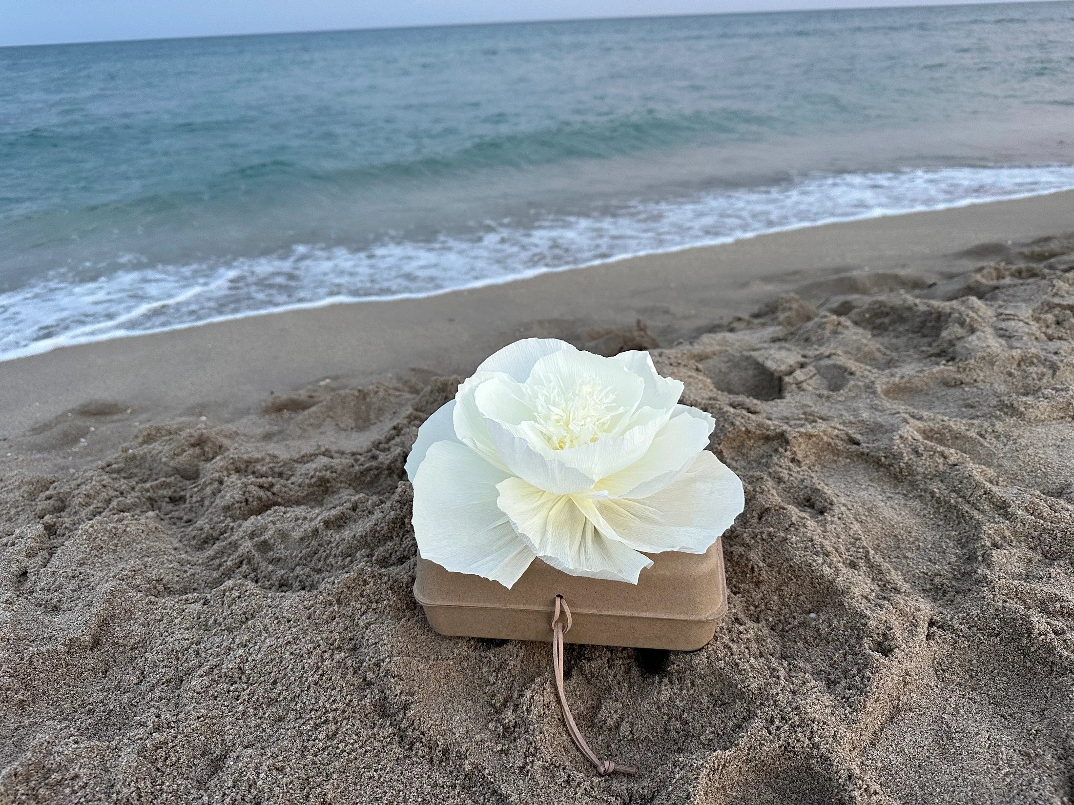 Water Burial Ceremony: How to Plan a Meaningful Farewell – Pachamama ...