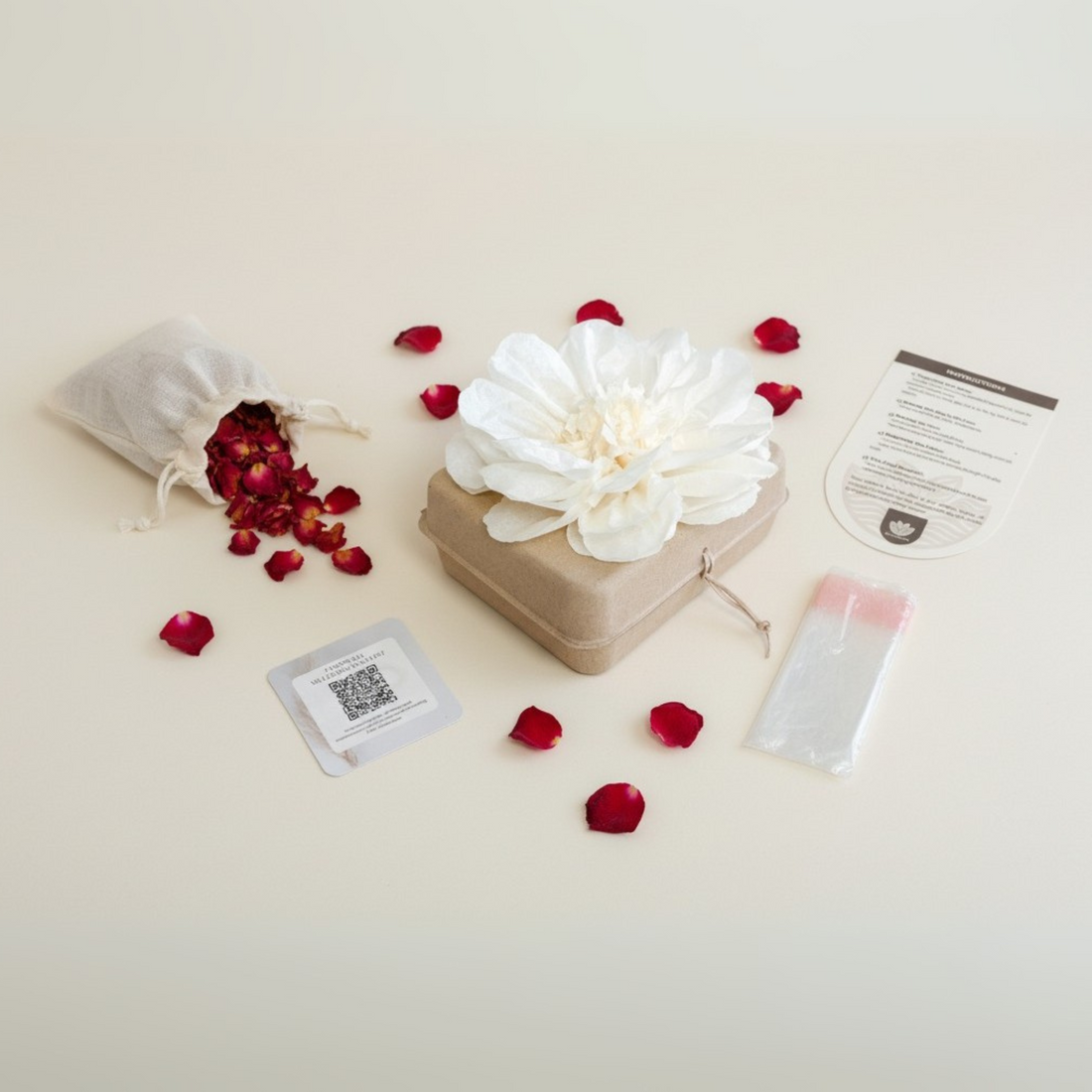 An Earth‑Embraced Goodbye: Choosing a Biodegradable Urn with Intention