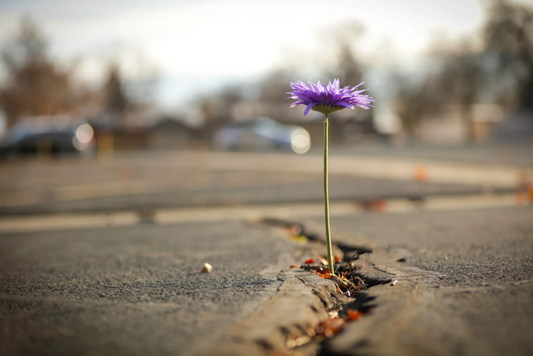 How to Support Someone Who Is Grieving: A Guide to Being Present