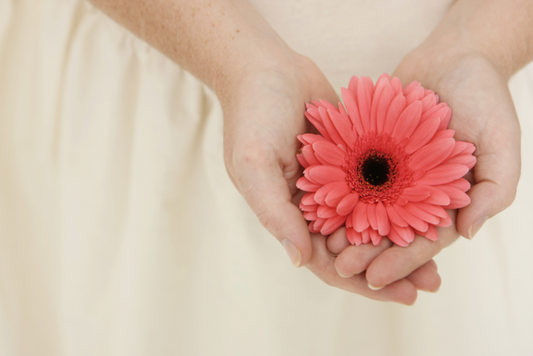 The Things We Wish We Had Said: Finding Closure After Loss