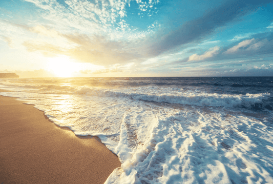 Burial at Sea: Biodegradable Urn Rules & EPA Guide (U.S.)