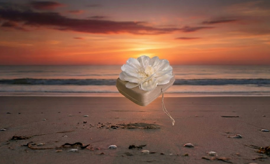 Cremation vs Burial: How to Decide What's Right for You or Your Loved One