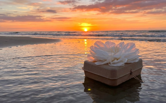 Grief and Guilt: Letting Go of What You Didn't Say