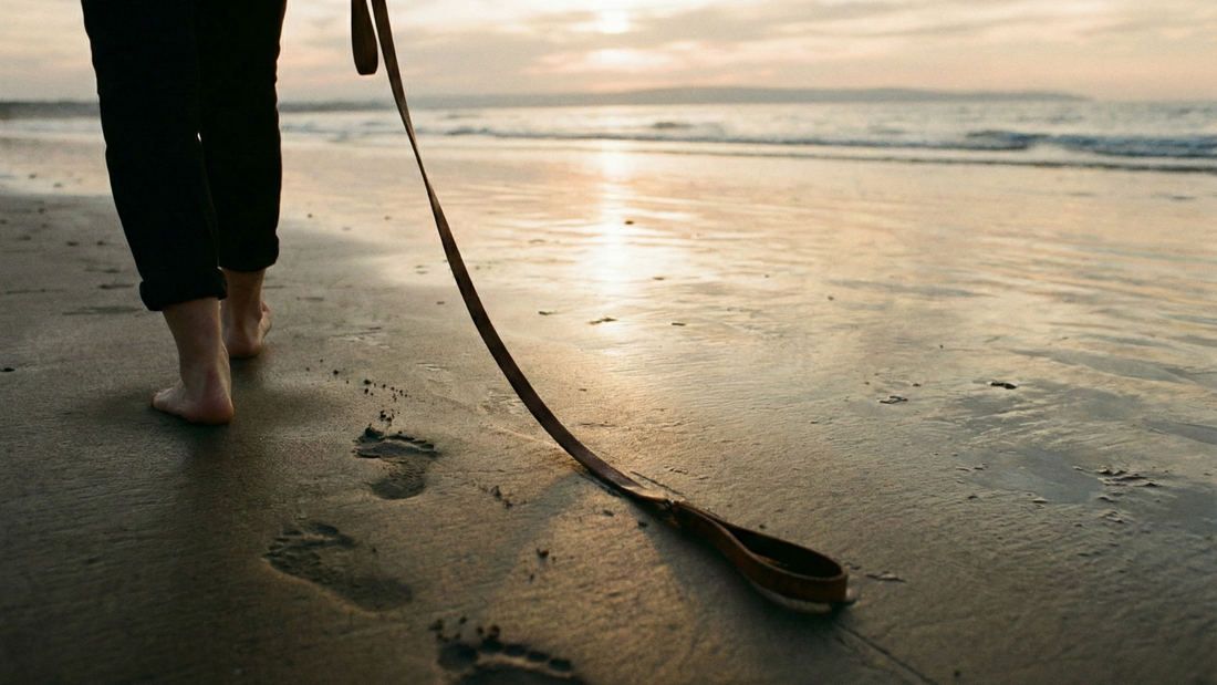 The First Week After Losing a Dog: What Helps, What Hurts, and What to Expect