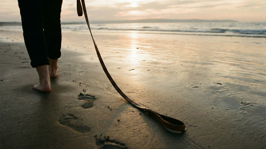 The First Week After Losing a Dog: What Helps, What Hurts, and What to Expect