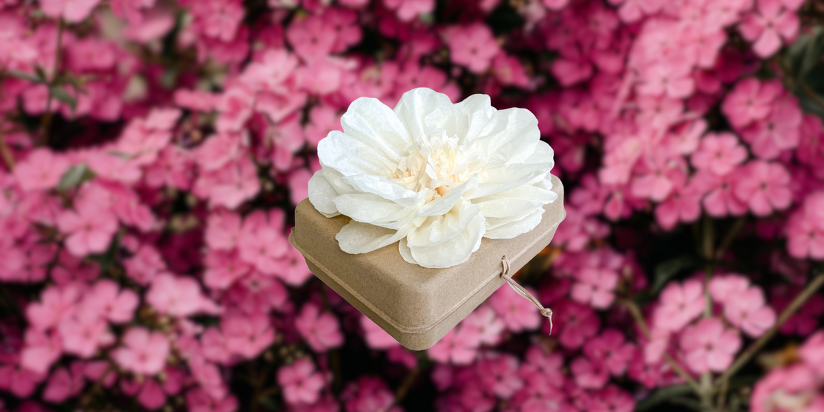 Burial Urns with Flower Seeds