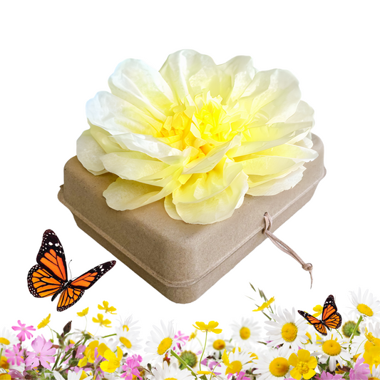 Biodegradable Burial Urn Kit – Yellow Tissue Flower & Butterfly Seeds | Eco-Friendly Tribute