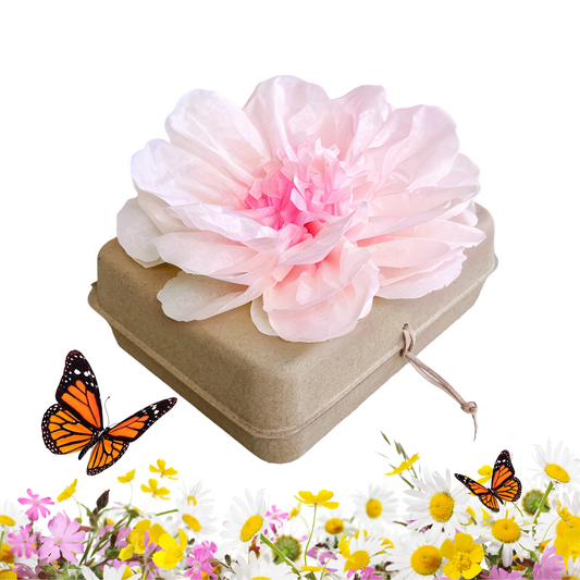 Biodegradable Burial Urn Kit – Pink Tissue Flower & Butterfly Seeds | Eco-Friendly Tribute