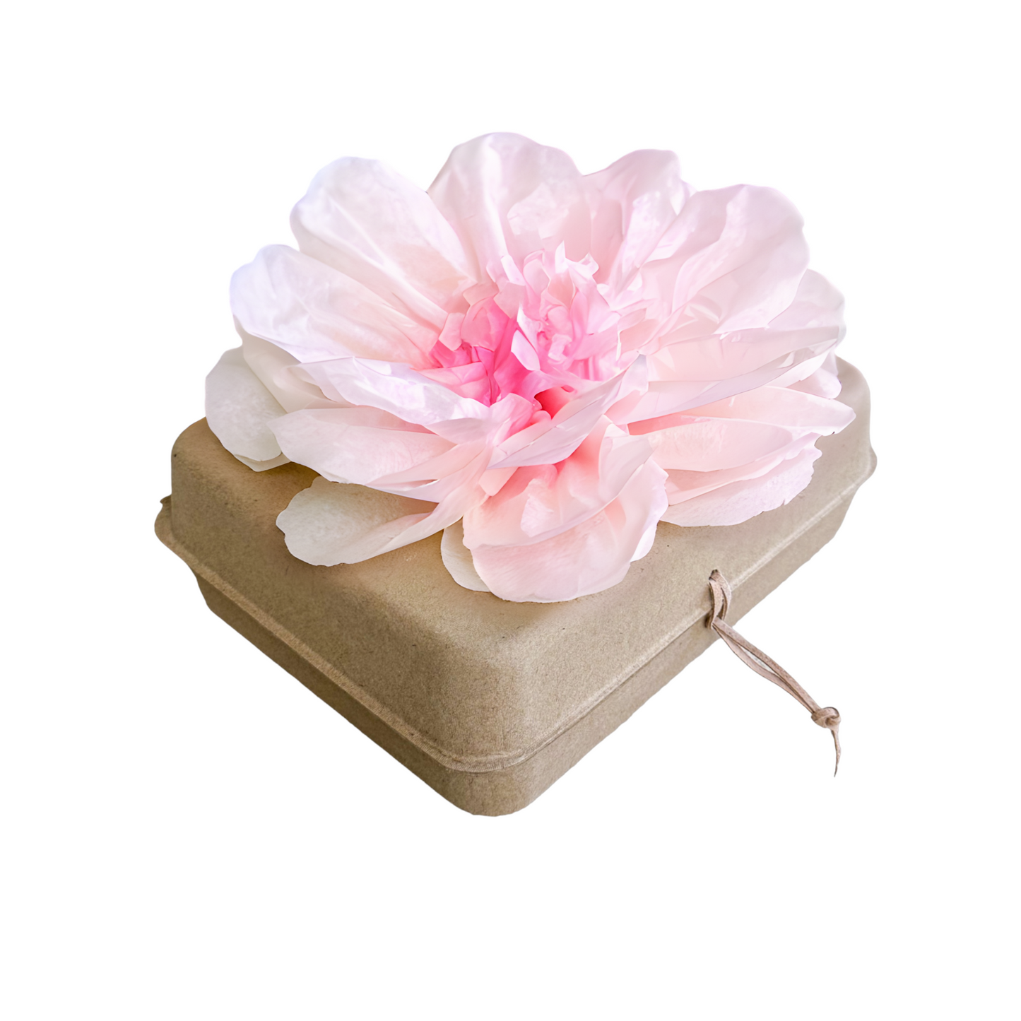 Biodegradable Water Burial Urn Kit – Light Pink Tissue Paper Flower | Cruise Approved with Certificate | Eco-Friendly Ocean Memorial