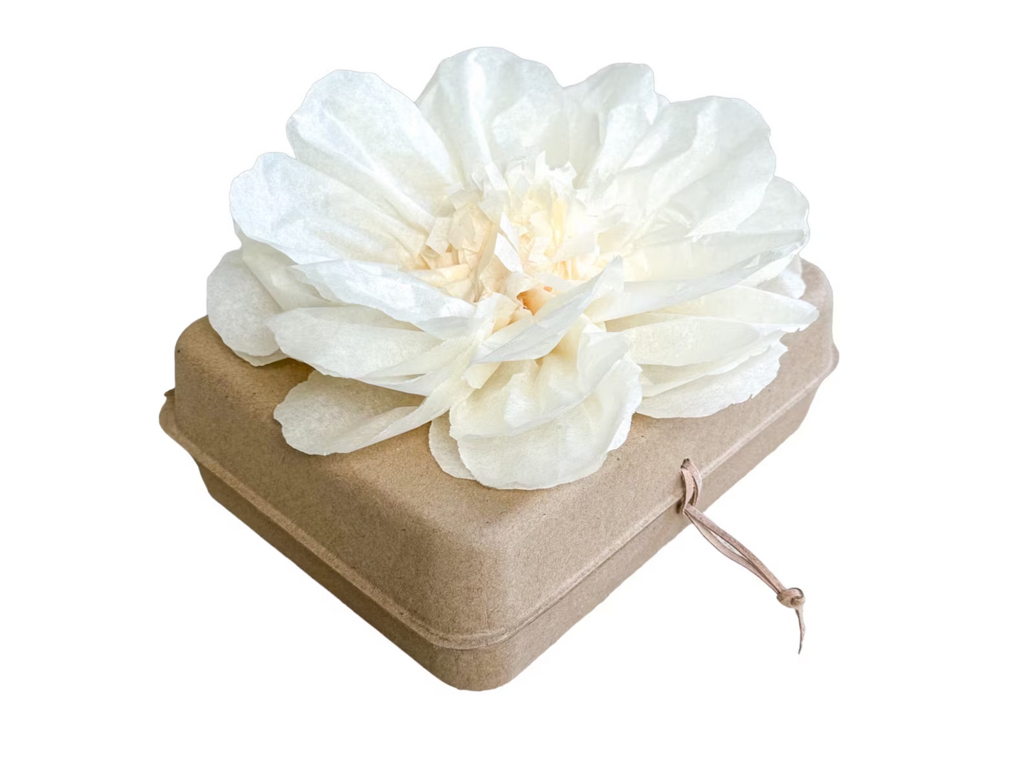 Biodegradable Water Burial Urn Kit – Ivory Tissue Paper Flower | Cruise Approved with Certificate | Eco-Friendly Ocean Memorial