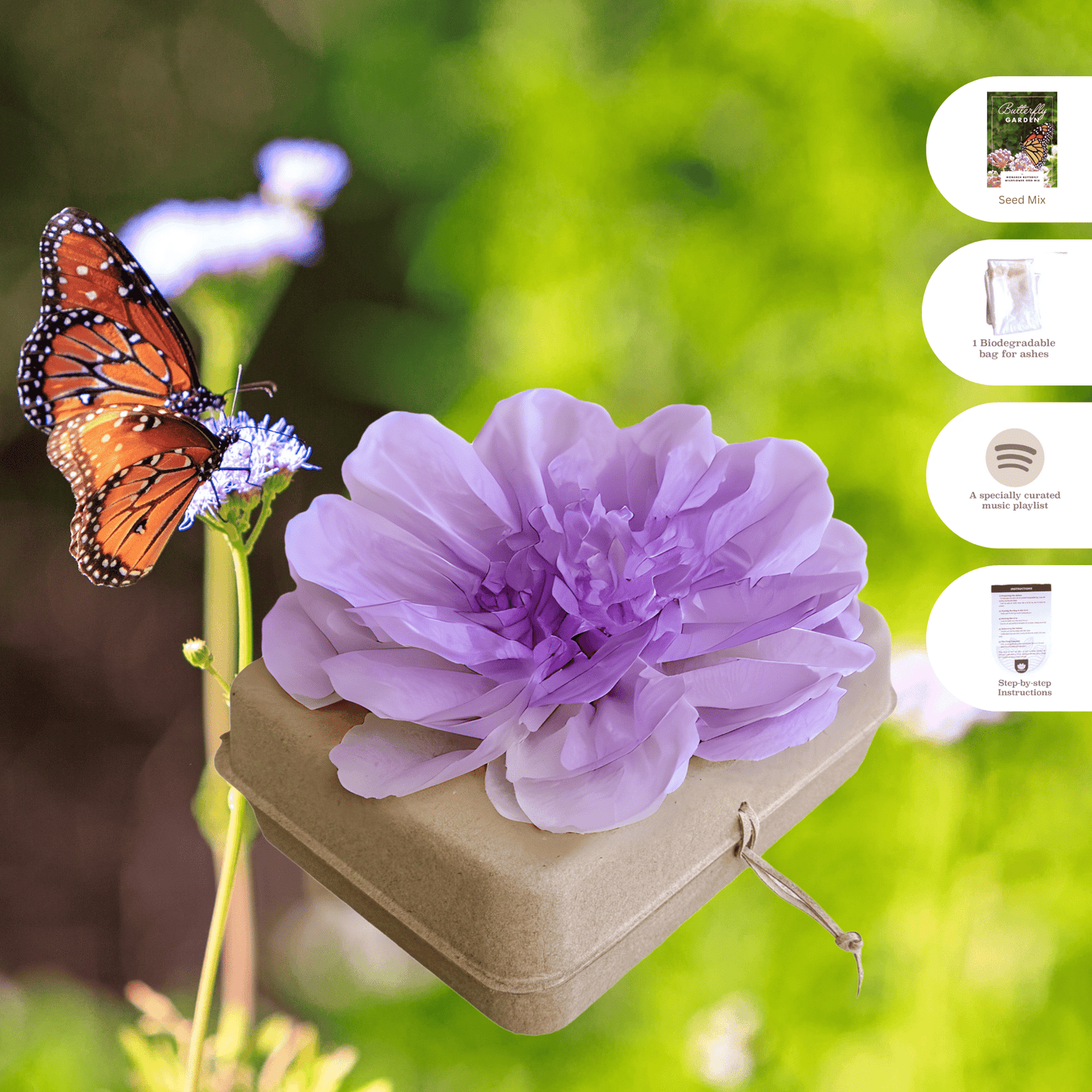 Biodegradable Burial Urn Kit – Lilac Tissue Flower & Butterfly Seeds | Eco-Friendly Tribute Biodegradable urns Pachamama Tributes