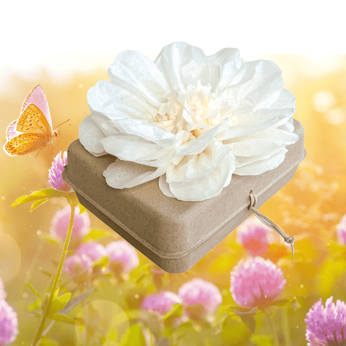 Biodegradable Burial Urn Kit – Natural / Ivory Tissue Flower & Butterfly Seeds | Eco-Friendly Tribute Biodegradable urns Pachamama Tributes