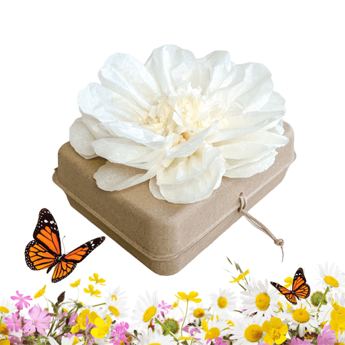 Biodegradable Burial Urn Kit – Natural / Ivory Tissue Flower & Butterfly Seeds | Eco-Friendly Tribute Biodegradable urns Pachamama Tributes