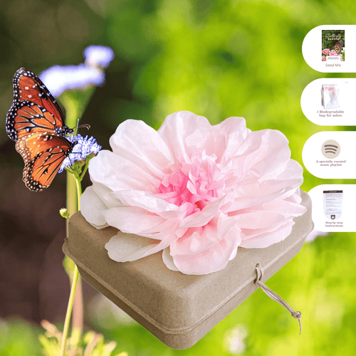 Biodegradable Burial Urn Kit – Pink Tissue Flower & Butterfly Seeds | Eco-Friendly Tribute Biodegradable urns Pachamama Tributes
