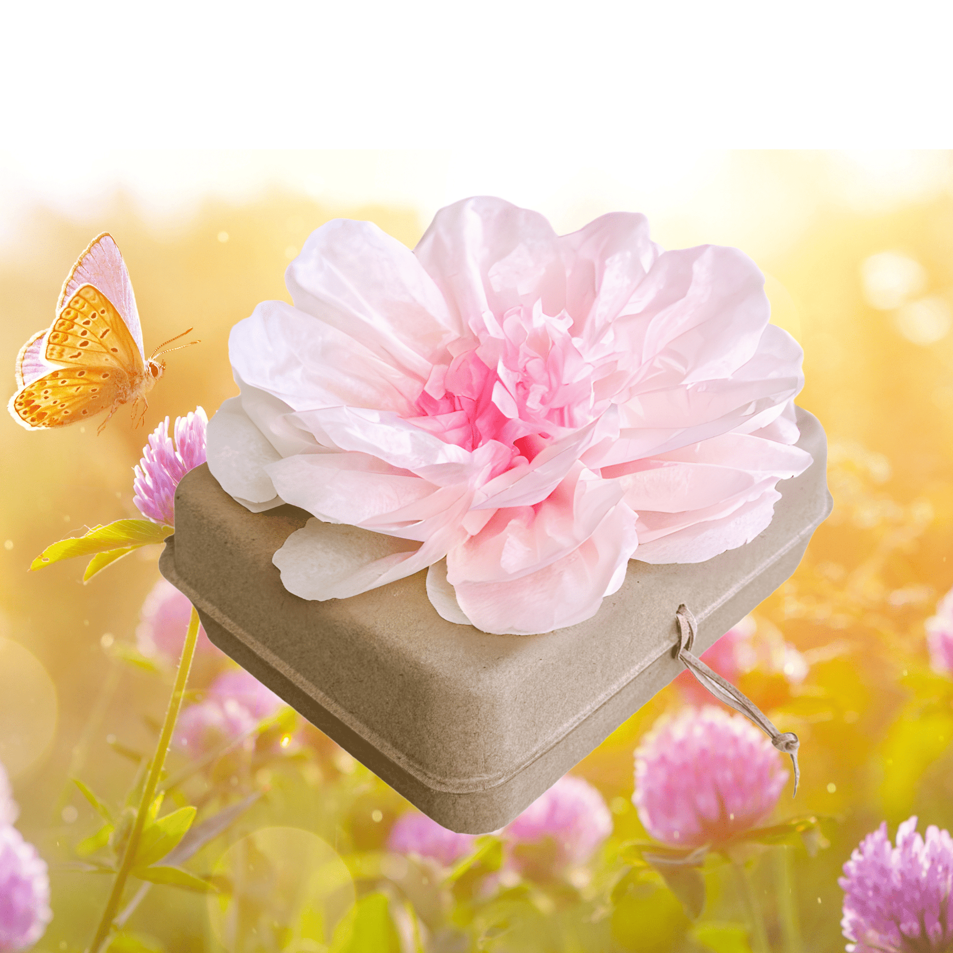 Biodegradable Burial Urn Kit – Pink Tissue Flower & Butterfly Seeds | Eco-Friendly Tribute Biodegradable urns Pachamama Tributes