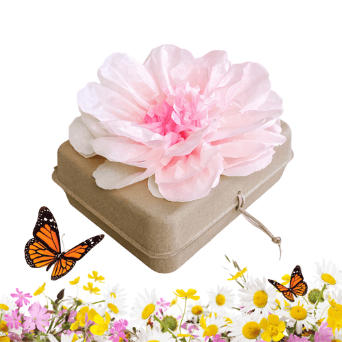 Biodegradable Burial Urn Kit – Pink Tissue Flower & Butterfly Seeds | Eco-Friendly Tribute Biodegradable urns Pachamama Tributes