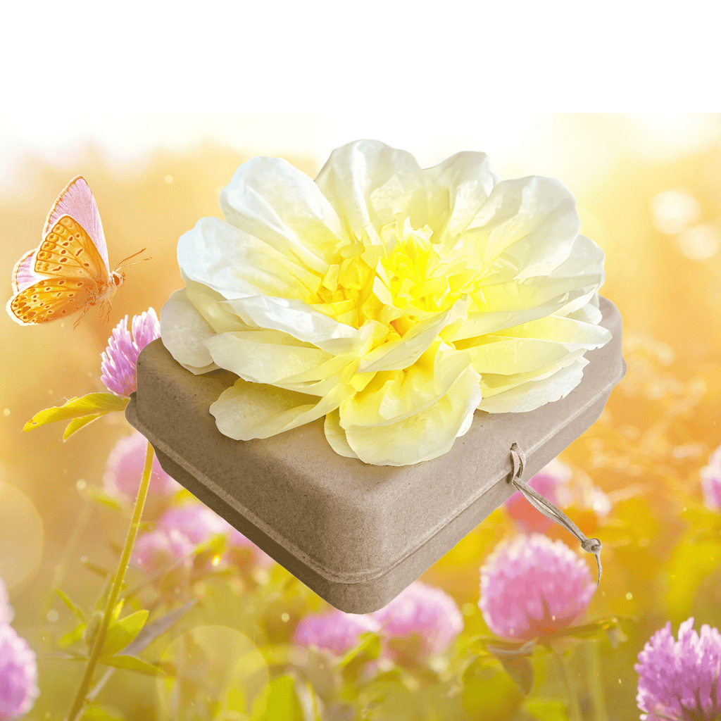 Biodegradable Burial Urn Kit – Yellow Tissue Flower & Butterfly Seeds | Eco-Friendly Tribute Biodegradable urns Pachamama Tributes