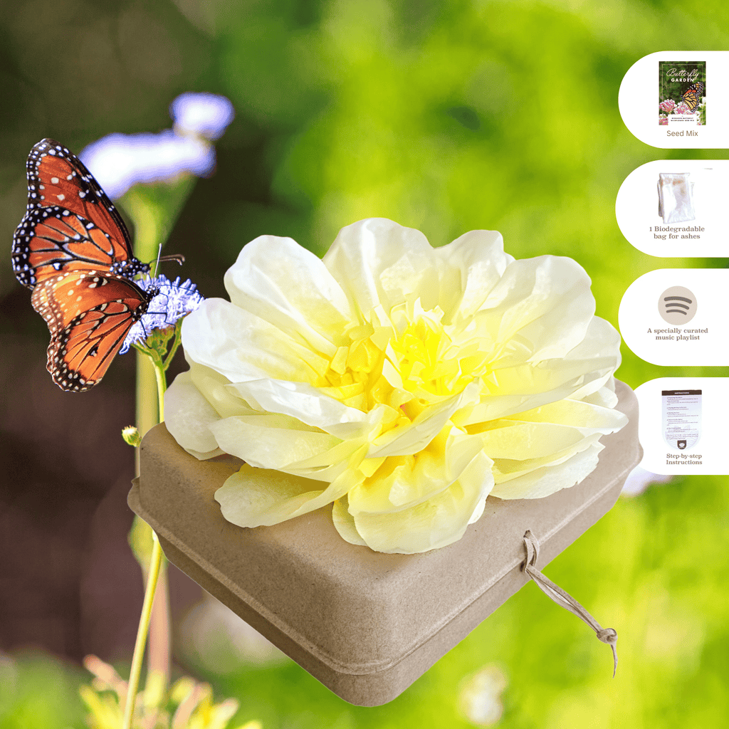 Biodegradable Burial Urn Kit – Yellow Tissue Flower & Butterfly Seeds | Eco-Friendly Tribute Biodegradable urns Pachamama Tributes