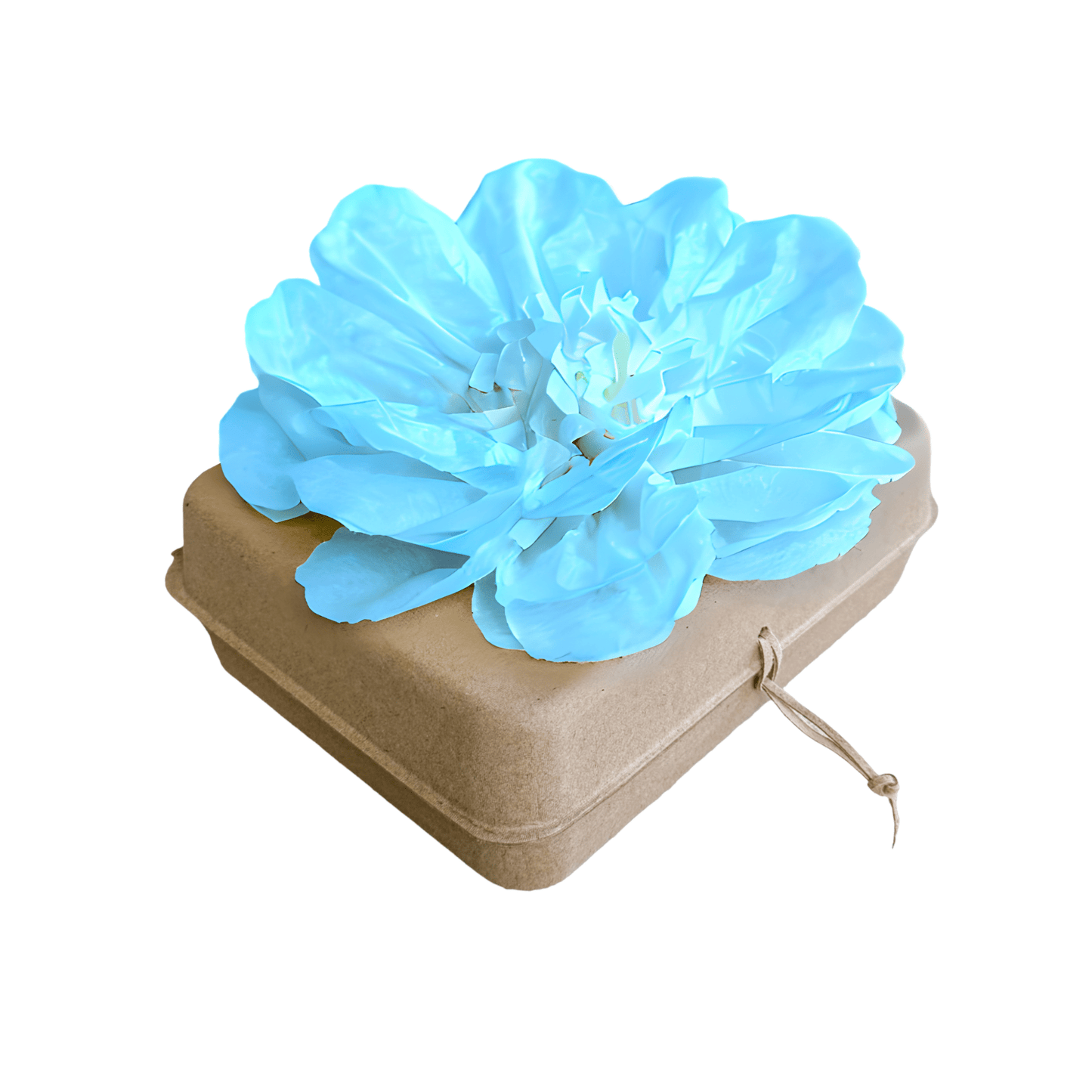Biodegradable Water Burial Urn Kit – Light Blue Tissue Paper Flower | Cruise Approved with Certificate | Eco-Friendly Ocean Memorial Biodegradable urns Pachamama Tributes