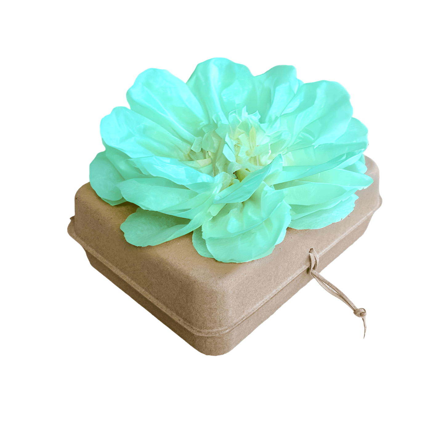Biodegradable Water Burial Urn Kit – Light Green Tissue Paper Flower | Cruise Approved with Certificate | Eco-Friendly Ocean Memorial Biodegradable urns Pachamama Tributes
