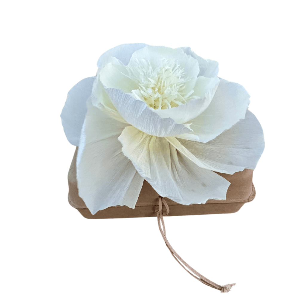 Biodegradable Water Burial Urn Kit – White Crepe Paper Flower | Cruise Approved with Certificate | Eco-Friendly Ocean Memorial Biodegradable urns Pachamama Tributes