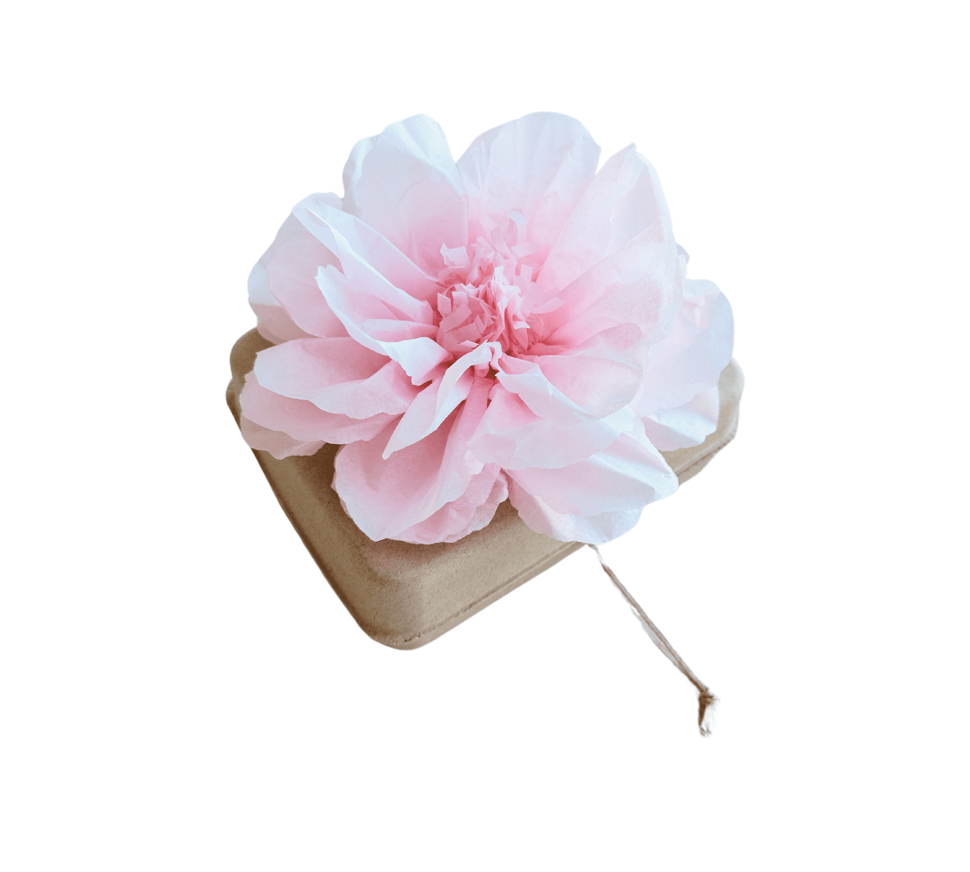 Pachamama Honoring Kit: Biodegradable Urn with pink Tissue Paper Flower Biodegradable urns Pachamama Tributes