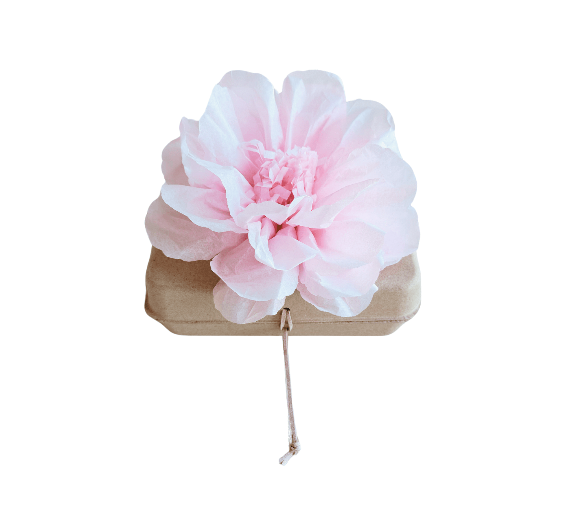Pachamama Honoring Kit: Biodegradable Urn with pink Tissue Paper Flower Biodegradable urns Pachamama Tributes