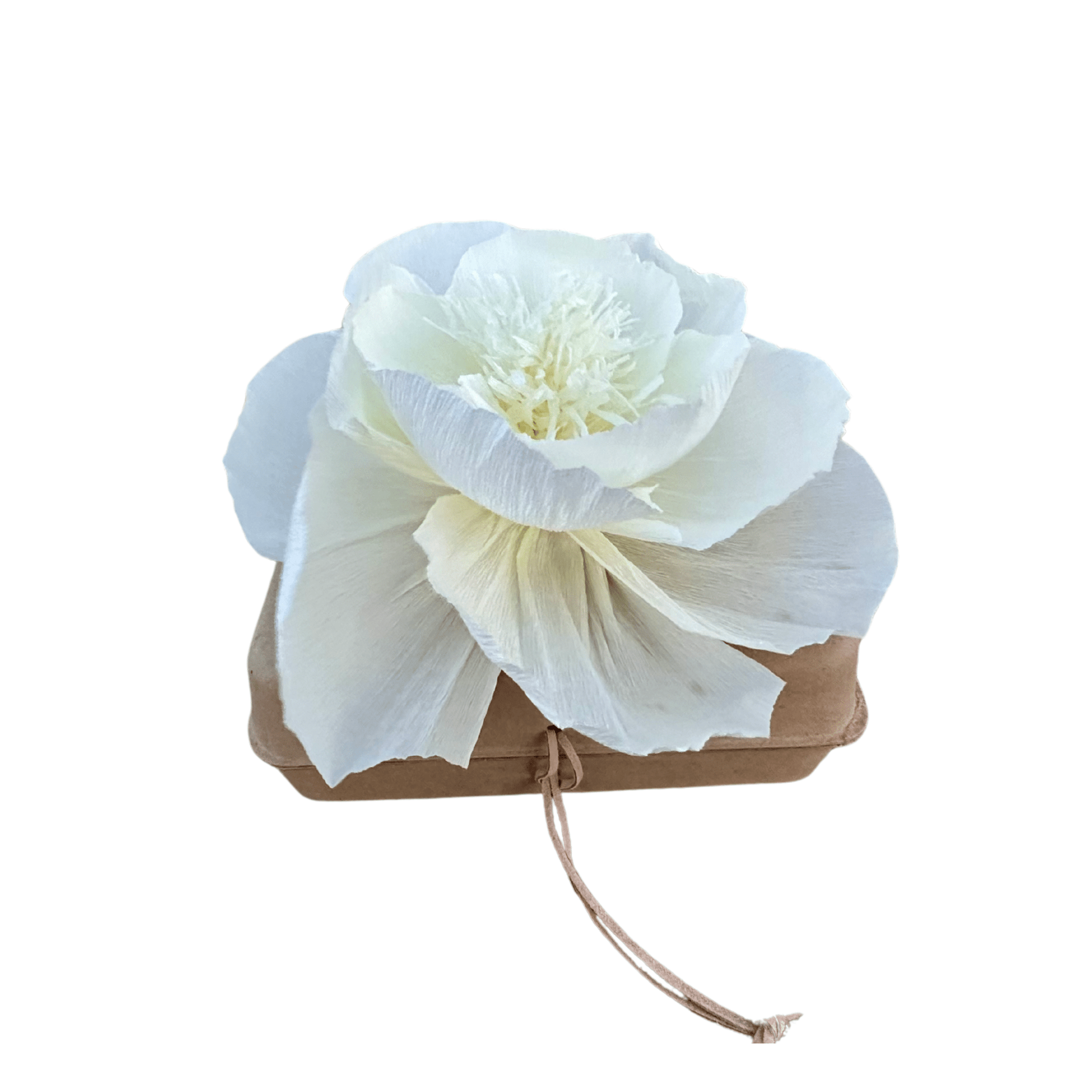 Pachamama Farewell Kit - Biodegradable Urn with Crepe Paper Flower Pachamama Tributes