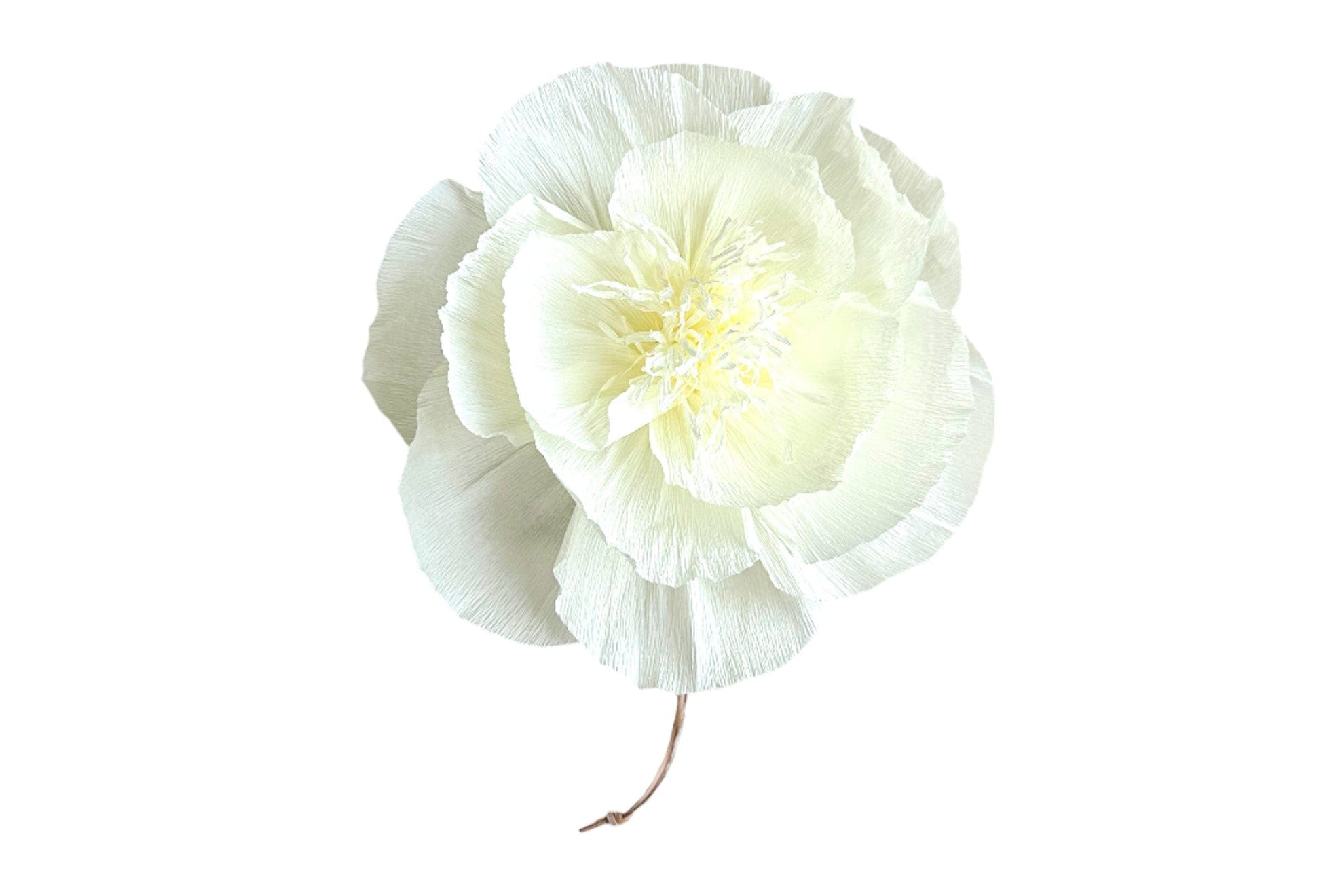 Pachamama Farewell Kit - Biodegradable Urn with Crepe Paper Flower Pachamama Tributes