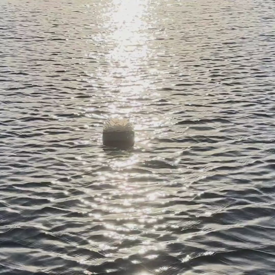 Pachamama Biodegradable Water Urn for Ashes — Floats then Dissolves